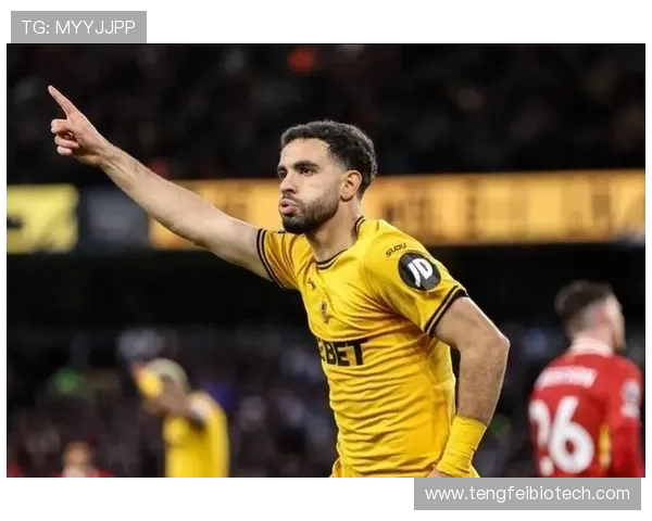 罗马诺:英超俱乐部关注但药厂坚持不放因卡皮耶为核心球员 罗马诺:英超俱乐部关注但药厂坚持不放因卡皮耶为核心球员