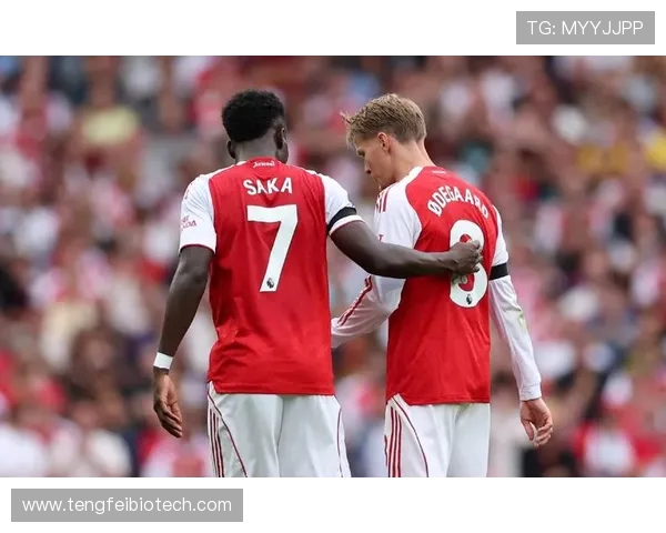 阿森纳大胜宣泄郁闷但伤病困扰仍让阿尔特塔忧心忡忡 阿森纳大胜宣泄郁闷但伤病困扰仍让阿尔特塔忧心忡忡