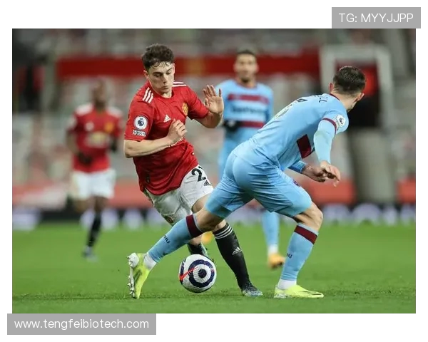 美国队计划明年三月与葡萄牙队和比利时队进行友谊赛探讨 美国队计划明年三月与葡萄牙队和比利时队进行友谊赛探讨