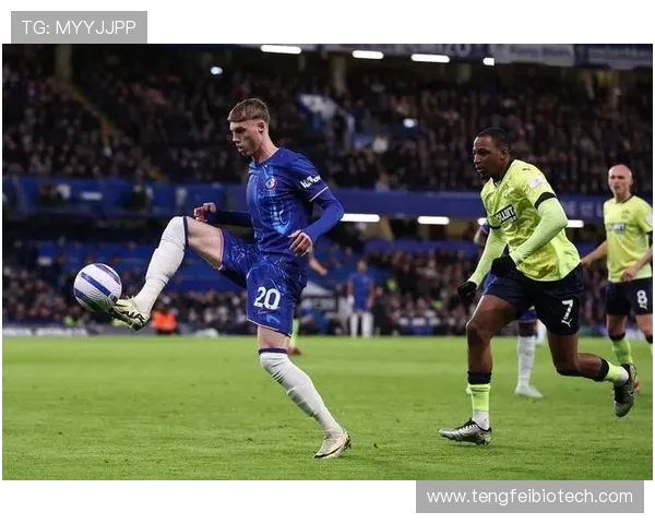 西汉姆考虑更换主帅引援努诺 取代成绩不佳的波特 西汉姆考虑更换主帅引援努诺 取代成绩不佳的波特