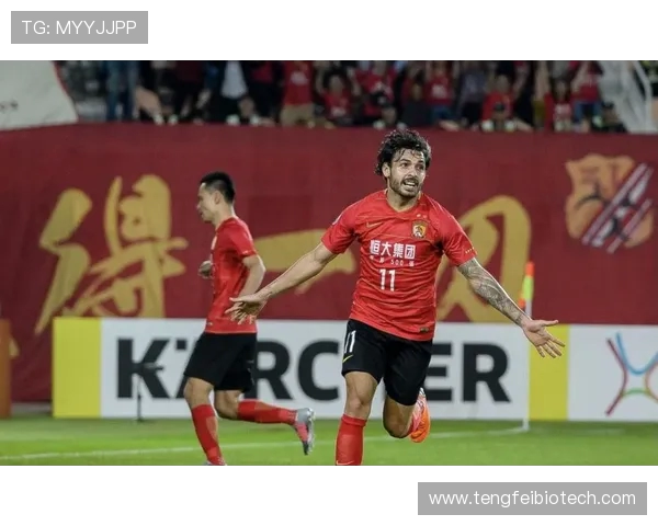 国足暂停集训中超三强全主力出征亚冠精英赛力争为中国足球正名 国足暂停集训中超三强全主力出征亚冠精英赛力争为中国足球正名