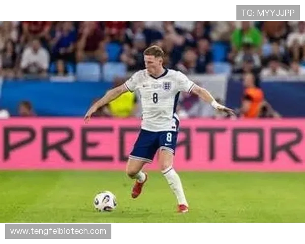 埃利奥特安德森展望明年世界杯并坚信澳大利亚能逆转局面