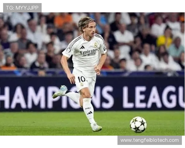 皇马队内领袖气场减弱应以莫德里奇或巴斯克斯为核心重建团队精神 皇马队内领袖气场减弱应以莫德里奇或巴斯克斯为核心重建团队精神