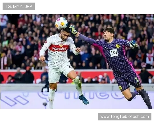 斯图加特小胜海登海姆 哈努斯关键进球助球队艰难取三分 斯图加特小胜海登海姆 哈努斯关键进球助球队艰难取三分