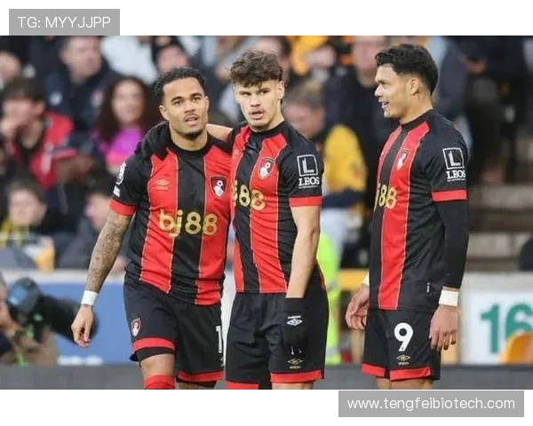 电讯报称伯恩茅斯引援坚持长期规划全面打造球队未来可持续竞争力