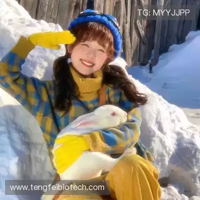 计辛畅